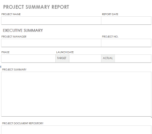 28 FREE Summary Report Templates EXCEL WORD PDF