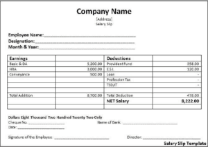 salary Pay slip sample format