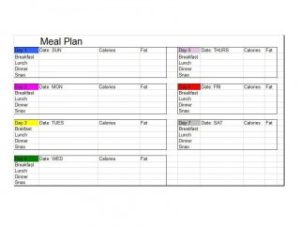 12+ Free Meal Plan Templates - Word Excel Formats