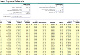 25+ Payment Plan/Schedule Templates [WORD, EXCEL, PDF]