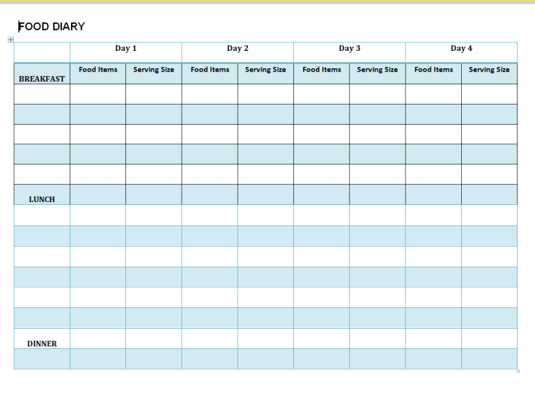 FREE Printable 28+ Food Diary/Food Log Templates in MS WORD