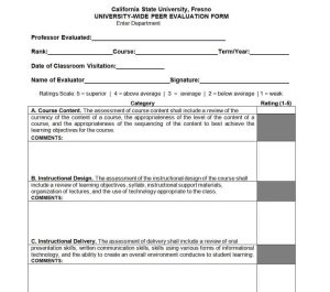 25+ Peer Evaluation Form Templates & Samples