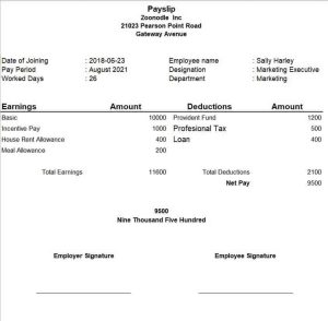 23+ Useful Payslip Templates & Formats [WORD & EXCEL]