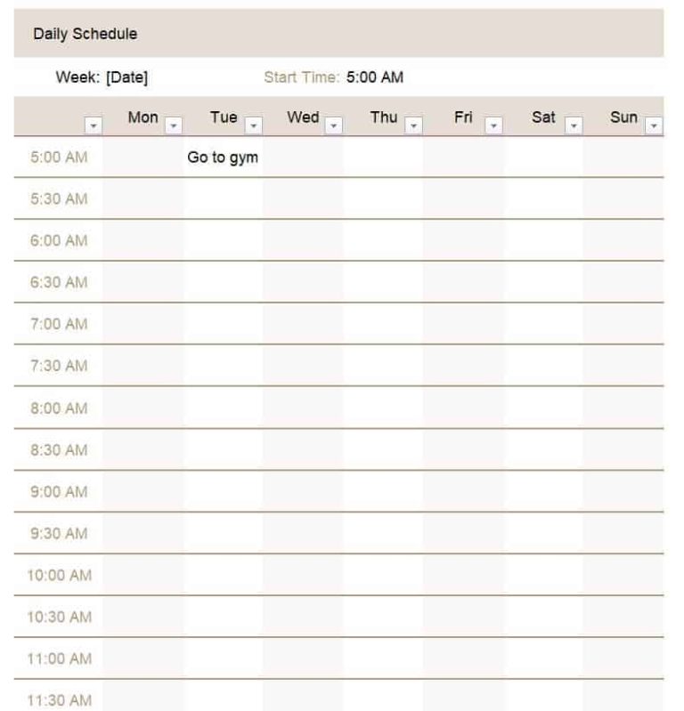 27+ Sample Daily Schedule Templates in Excel