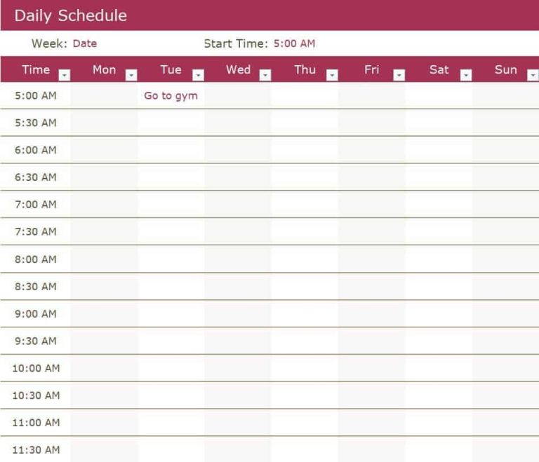 27+ Sample Daily Schedule Templates in Excel